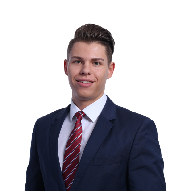 Portrait ${vbkonfig.displayName}